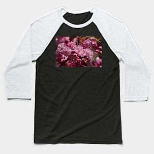 English Springtime Cherry Blossom Baseball T-Shirt